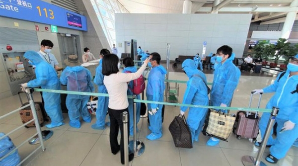 Hơn 340 công dân Việt Nam từ Đài Loan về nước an toàn