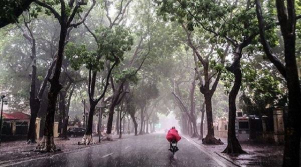 Thời tiết hôm nay 16/11: Hà Nội và các tỉnh miền Bắc mưa rét trên diện rộng