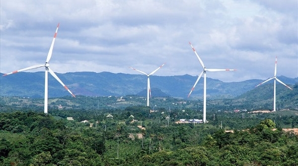 Gia Lai: Đầu tư xây dựng nhà máy điện gió 50 MW