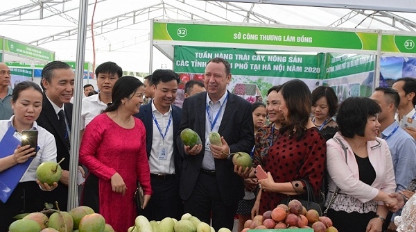 “Tuần hàng trái cây, nông sản” đẩy mạnh kích cầu tiêu dùng nội địa