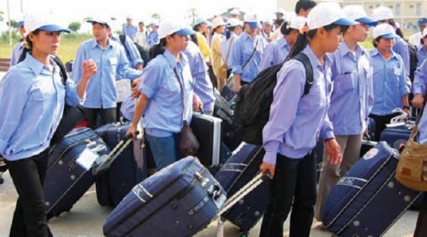 Thanh Hóa: Thị trường xuất khẩu lao động khởi động trở lại sau ảnh hưởng của đại dịch Covid-19