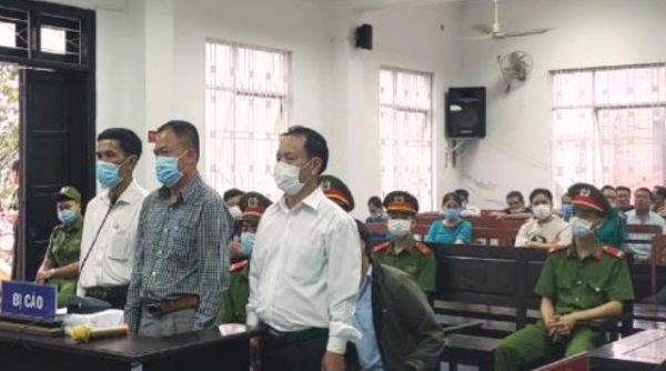 Đà Nẵng: Làm giả hơn 230 hồ sơ đất đai lĩnh 15,5 năm tù