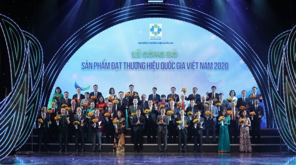 Nhà thầu xây dựng Hoà Bình: 7 lần liên tiếp đạt Thương hiệu Quốc gia Việt Nam