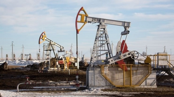 Giá xăng dầu hôm nay 30/11: Trước dự định cắt giảm sản lượng của OPEC+, dầu tiếp tục tăng giá