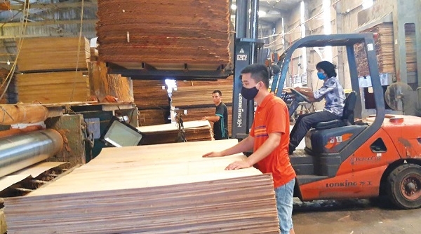 Kiểm soát chặt chẽ gian lận thương mại trong hoạt động xuất nhập khẩu gỗ