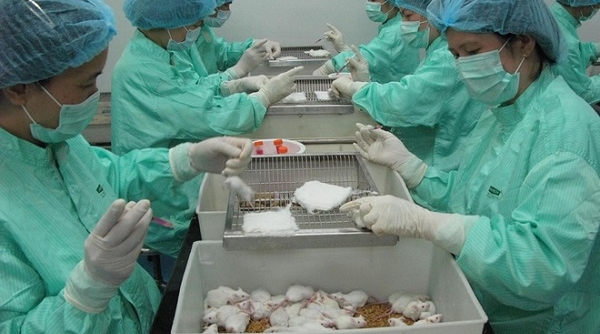 Đã có giá dự kiến Vaccine COVID-19 đầu tiên của Việt Nam