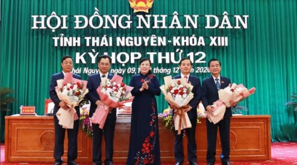 Ông Trịnh Việt Hùng được bầu giữ chức Chủ tịch UBND tỉnh Thái Nguyên