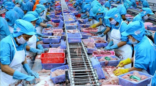 Hiệp hội Chế biến và Xuất khẩu thủy sản: Mở thêm cơ hội cho thủy sản Việt Nam