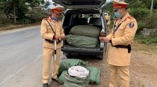 Lạng Sơn: Bắt giữ xe ô tô vận chuyển 244 kg nguyên liệu thuốc bắc nhập lậu