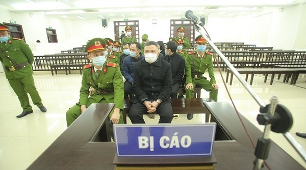 Sáng nay 21/12: Xét xử vụ lừa đảo tại công ty Liên Kết Việt, triệu tập hơn 6.000 bị hại