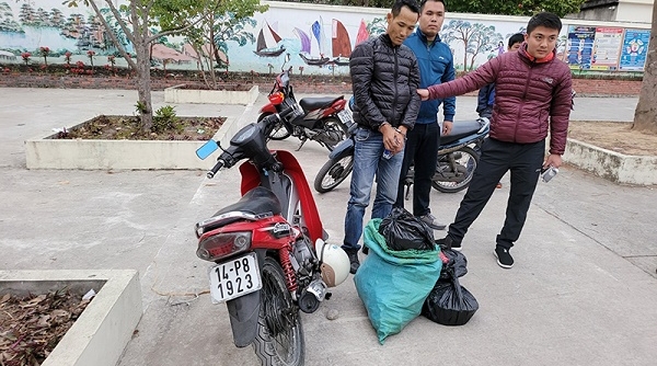 Quảng Ninh: Tạm giữ đối tượng sử dụng tiền chất để sản xuất và buôn bán pháo nổ