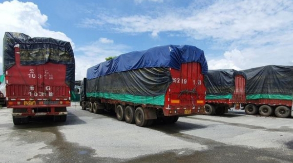 Hải quan sẽ tổ chức bán đấu giá công khai hơn 100 xe tải Trung Quốc vô chủ