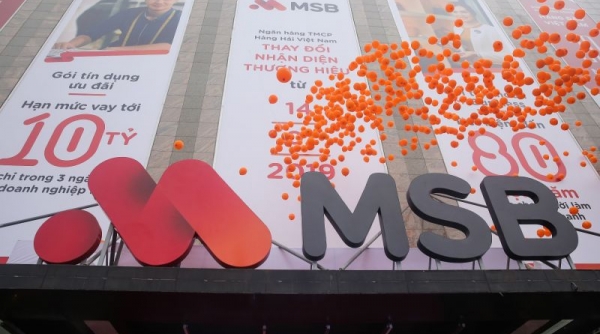 MSB chuyển nhượng vốn góp tại MSB AMC