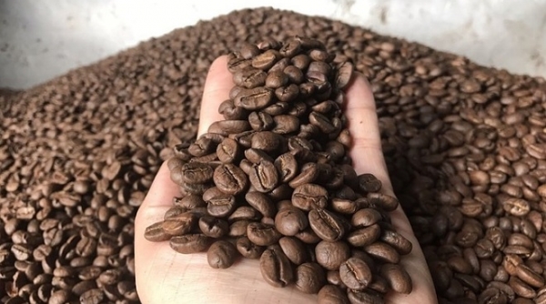Giá cà phê ngày 27/12: Tăng 100 - 200 đồng/kg so đầu tuần