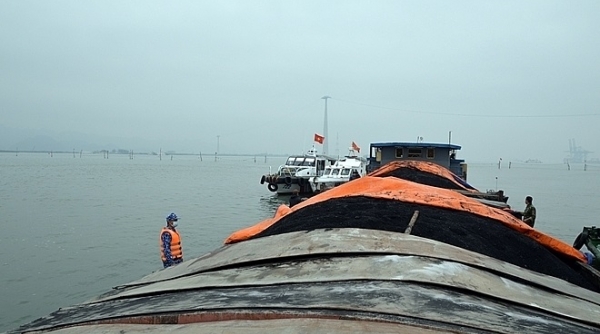 Cảnh sát biển tạm giữ 850 tấn than cám không có hoá đơn chứng từ