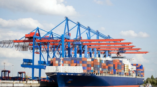 Các hãng tàu vận tải container phải minh bạch giá cước vận chuyển