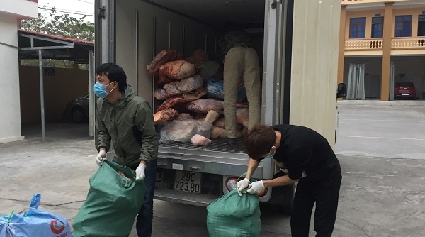 Hải Dương: Ngăn chặn hơn 2 tấn thịt lợn bốc mùi trên đường đi tiêu thụ