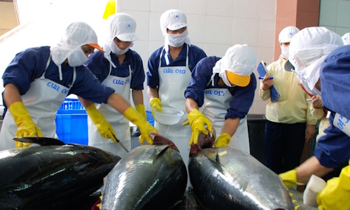 Tháng 11/2020: Xuất khẩu cá ngừ sang các thị trường chính đều giảm so với cùng kỳ