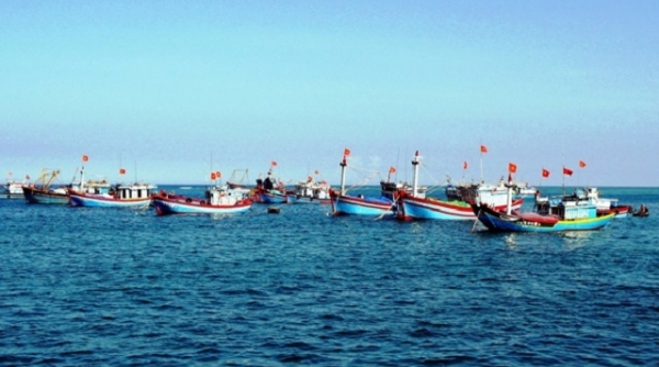 Thanh Hóa : Đảm bảo an toàn cho ngư dân hoạt động phát triển kinh tế biển