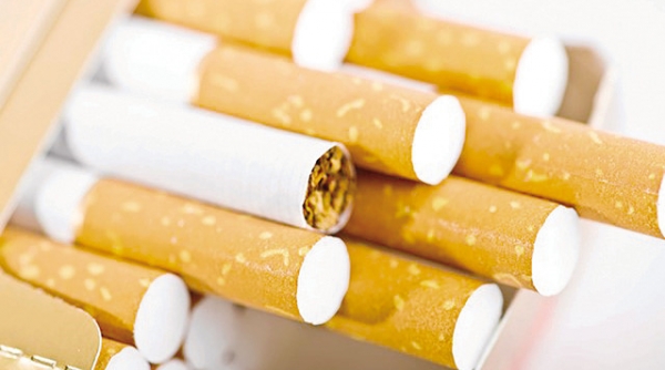 Năm 2020: Hạn ngạch thuốc lá nguyên liệu tăng hơn 2,8 nghìn tấn