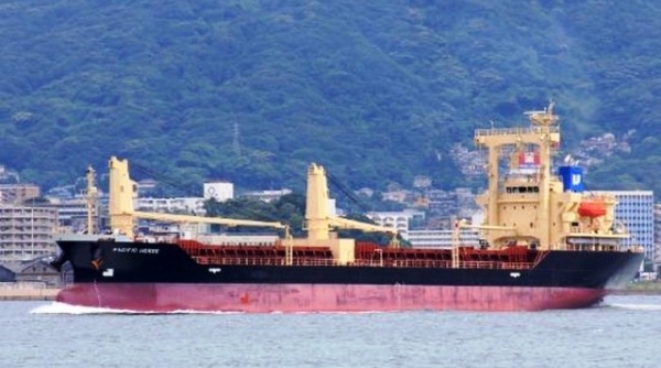 Quảng Bình: Cách ly 10 thuyền viên tàu Pacific Horse từ Hồng Kông trở về
