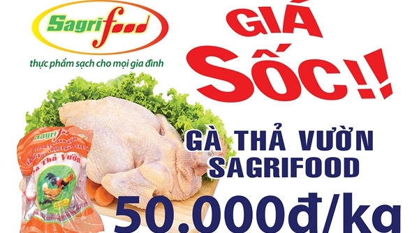 Thịt gà thả vườn Sagrifood 50.000 đồng/kg
