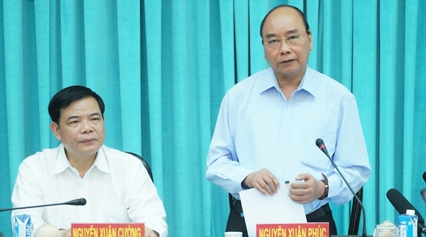 Thủ tướng Nguyễn Xuân Phúc: Vaccine có sẵn của Việt Nam là tinh thần kiên cường, vượt khó