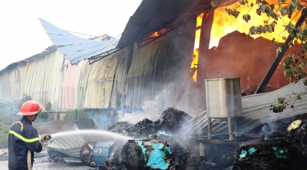 Thái Nguyên: Cháy lớn gây thiệt hại nhiều tỷ đồng tại chi nhánh công ty Giấy Trường Xuân