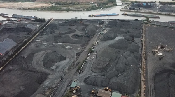 TP Hạ Long: Bất chấp ô nhiễm môi trường, Cảng hàng hoá và dịch vụ tổng hợp ngang nhiên tập kết than?