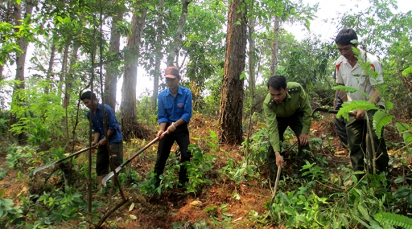 “Tết trồng cây” và tăng cường công tác bảo vệ, phát triển rừng ngay từ đầu năm 2021
