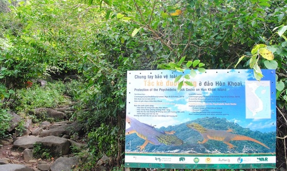 Cà Mau: Thành lập khu rừng bảo tồn cụm đảo Hòn Khoai - Hòn Chuối