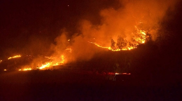 Cháy rừng lớn xảy ra tại Sóc Sơn (Hà Nội)