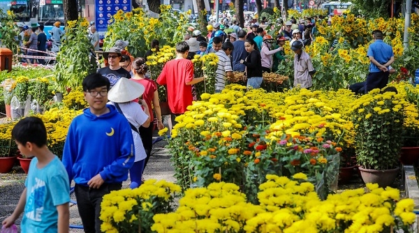 Cung ứng hơn 1 triệu giỏ hoa cho thị trường Tết Nguyên đán 2021