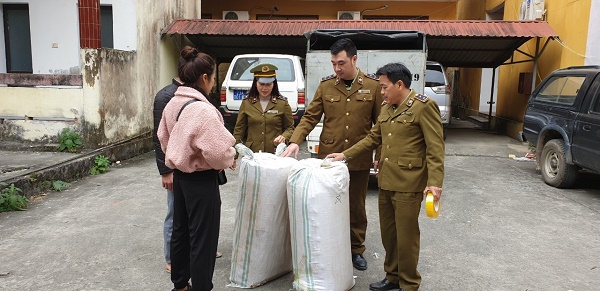 Lực lượng QLTT Hà Giang thu giữ 150kg Tam thất củ không rõ nguồn gốc
