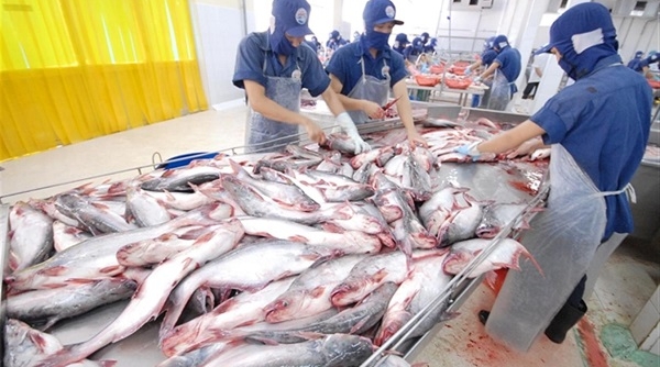 Bất chấp khó khăn, cá tra Việt Nam xuất khẩu đi Anh duy trì đà tăng trưởng liên tiếp