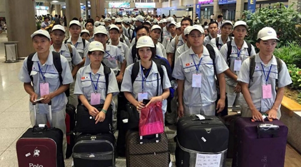 Lao động Việt Nam tại Hàn Quốc được tự động gia hạn cư trú 50 ngày