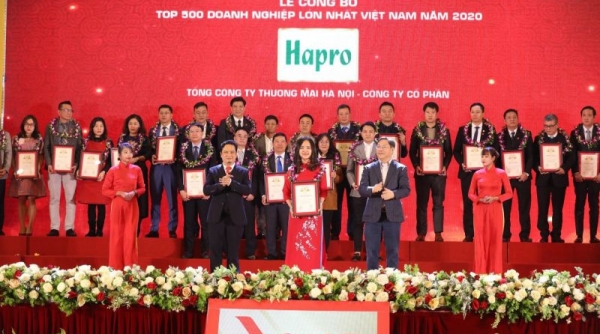 14 năm liên tiếp, Hapro được vinh danh top 500 doanh nghiệp lớn nhất Việt Nam