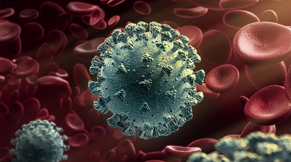 Nhật Bản phát hiện biến thể mới của virus SARS-CoV-2