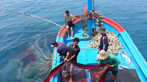 Chính phủ 14 nước thông qua Sáng kiến đánh bắt hải sản bền vững