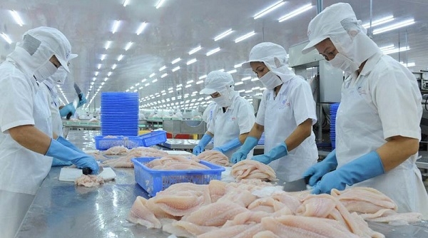 Trung Quốc tiếp tục siết chặt quy định nhập khẩu thủy sản