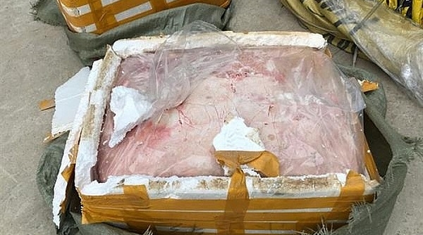 Lạng Sơn: Bắt giữ xe ô tô tải vận chuyển trên 2 tấn nầm lợn bốc mùi hôi thối