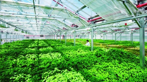 Thủ tướng ký Quyết định thành lập Khu nông nghiệp công nghệ cao Thái Nguyên