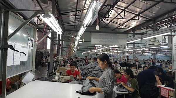 Nghệ An: Năm 2020, thành lập mới gần 1.900 doanh nghiệp