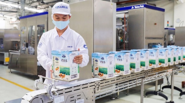 “Xông đất” đầu năm mới 2021, Vinamilk xuất khẩu đi Trung Quốc lô hàng lớn gồm sữa hạt và sữa đặc