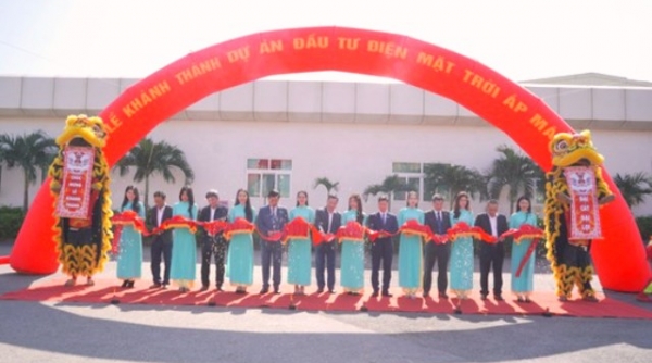 Quảng Nam: Tập đoàn Sơn Hà khánh thành 2 dự án điện mặt trời công suất lớn tại huyện Núi Thành