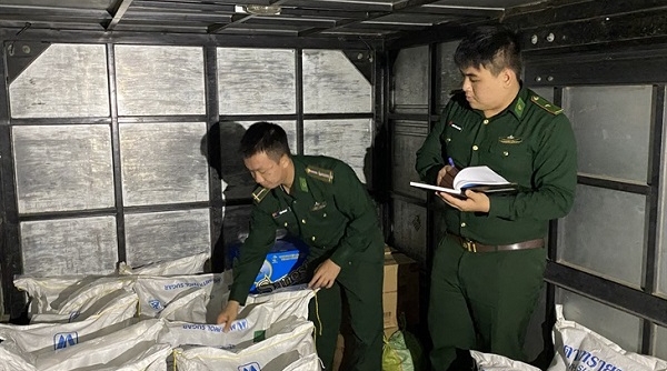 Quảng Ngãi: Phát hiện xe khách chở 1.350 kg đường nghi nhập lậu