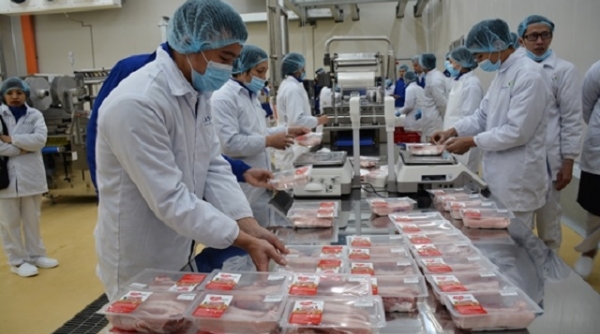 Tập đoàn AVG Capital Partners sẽ triển khai dự án Tổ hợp chế biến thịt lợn tại Thanh Hóa
