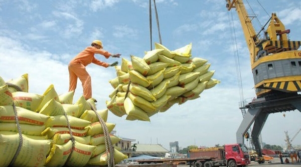 Hàn Quốc chính thức áp thuế 513% gạo nhập khẩu vượt hạn ngạch