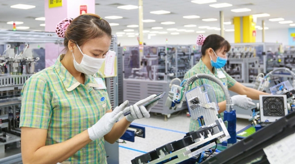 Hà Nội: Kim ngạch xuất khẩu tăng 31,1% so với cùng kỳ năm trước