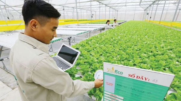 Ứng dụng công nghệ số tạo đà cho sản xuất nông nghiệp công nghệ cao
